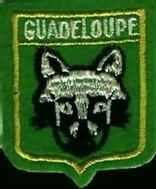 Ecusson de la Guadeloupe (Le racoun)