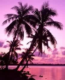 couché de soleil